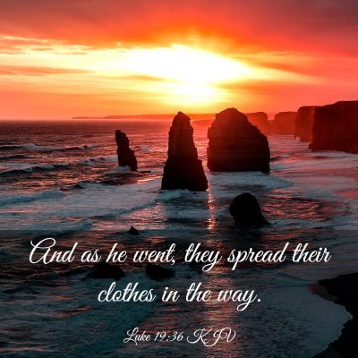 Picture 03 - Luke 19:36 KJV - And as he went, they spread their clothes in the - Bible Verse Picture