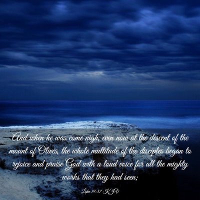 Picture 03 - Luke 19:37 KJV - And when he was come nigh, even now at the - Bible Verse Picture