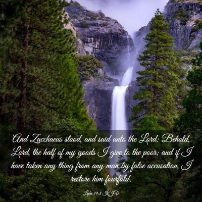Picture 03 - Luke 19:8 KJV - And Zacchaeus stood, and said unto the Lord: - Bible Verse Picture