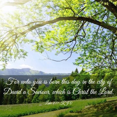 Picture 03 - Luke 2:11 KJV - For unto you is born this day in the city of - Bible Verse Picture