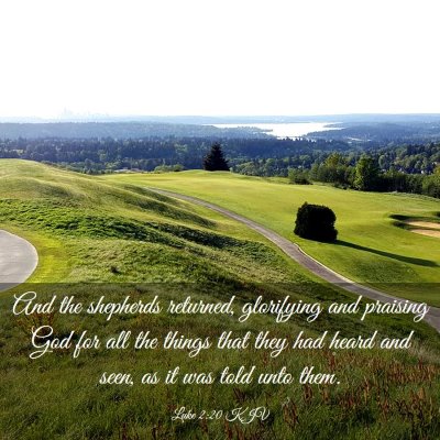 Picture 03 - Luke 2:20 KJV - And the shepherds returned, glorifying and - Bible Verse Picture