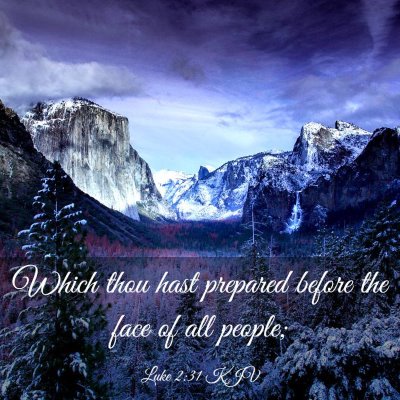 Picture 03 - Luke 2:31 KJV - Which thou hast prepared before the face of all - Bible Verse Picture