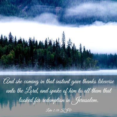 Picture 03 - Luke 2:38 KJV - And she coming in that instant gave thanks - Bible Verse Picture