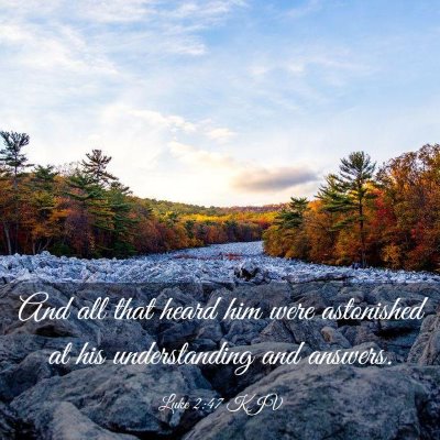 Picture 03 - Luke 2:47 KJV - And all that heard him were astonished at his - Bible Verse Picture