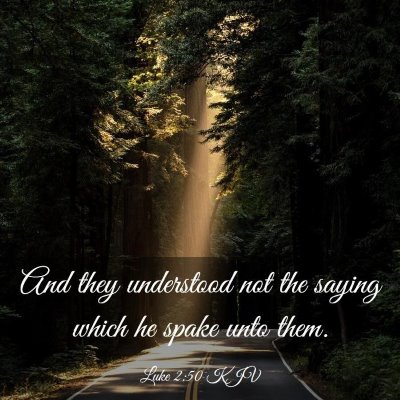 Picture 03 - Luke 2:50 KJV - And they understood not the saying which he spake - Bible Verse Picture