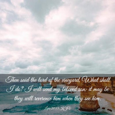 Picture 03 - Luke 20:13 KJV - Then said the lord of the vineyard, What shall I - Bible Verse Picture