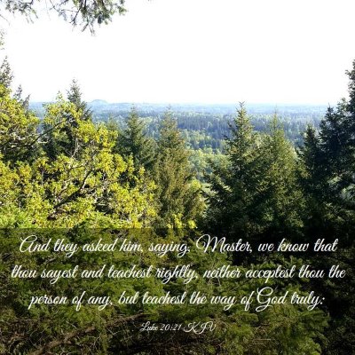 Picture 03 - Luke 20:21 KJV - And they asked him, saying, Master, we know that - Bible Verse Picture