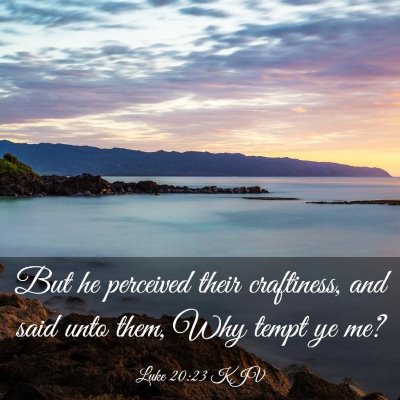 Picture 03 - Luke 20:23 KJV - But he perceived their craftiness, and said unto - Bible Verse Picture