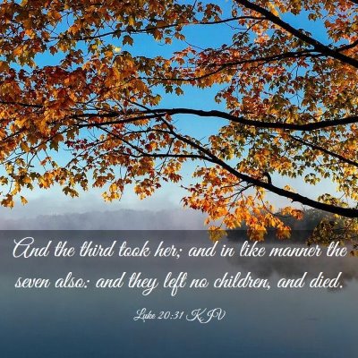 Picture 03 - Luke 20:31 KJV - And the third took her; and in like manner the - Bible Verse Picture