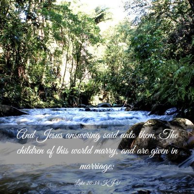 Picture 03 - Luke 20:34 KJV - And Jesus answering said unto them, The children - Bible Verse Picture