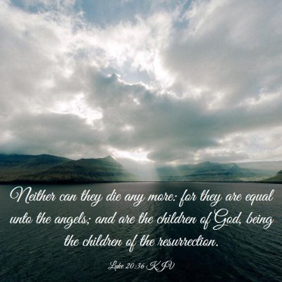 Picture 03 - Luke 20:36 KJV - Neither can they die any more: for they are equal - Bible Verse Picture