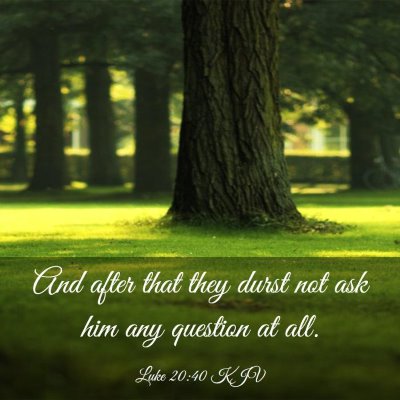 Picture 03 - Luke 20:40 KJV - And after that they durst not ask him any - Bible Verse Picture