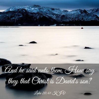 Picture 03 - Luke 20:41 KJV - And he said unto them, How say they that Christ - Bible Verse Picture