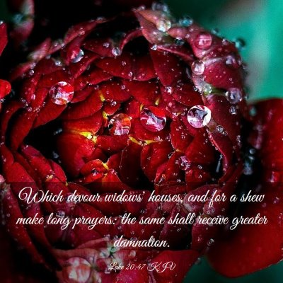 Picture 03 - Luke 20:47 KJV - Which devour widows' houses, and for a shew make - Bible Verse Picture