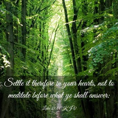 Picture 03 - Luke 21:14 KJV - Settle it therefore in your hearts, not to - Bible Verse Picture