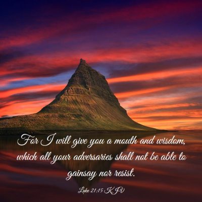 Picture 03 - Luke 21:15 KJV - For I will give you a mouth and wisdom, which all - Bible Verse Picture
