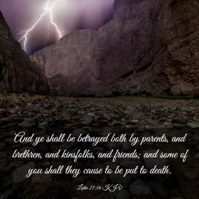 Picture 03 - Luke 21:16 KJV - And ye shall be betrayed both by parents, and - Bible Verse Picture