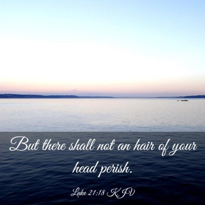 Picture 03 - Luke 21:18 KJV - But there shall not an hair of your head - Bible Verse Picture