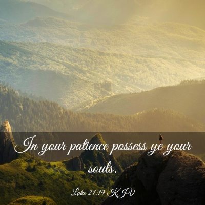 Picture 03 - Luke 21:19 KJV - In your patience possess ye your - Bible Verse Picture