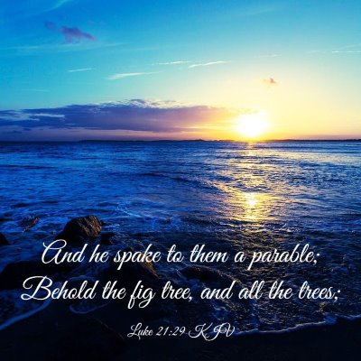 Picture 03 - Luke 21:29 KJV - And he spake to them a parable; Behold the fig - Bible Verse Picture