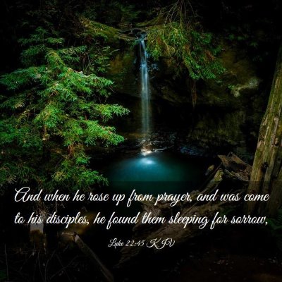 Picture 03 - Luke 22:45 KJV - And when he rose up from prayer, and was come to - Bible Verse Picture