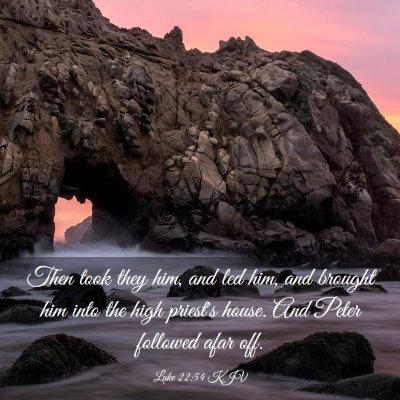 Picture 03 - Luke 22:54 KJV - Then took they him, and led him, and brought him - Bible Verse Picture