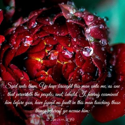 Picture 03 - Luke 23:14 KJV - Said unto them, Ye have brought this man unto me, - Bible Verse Picture