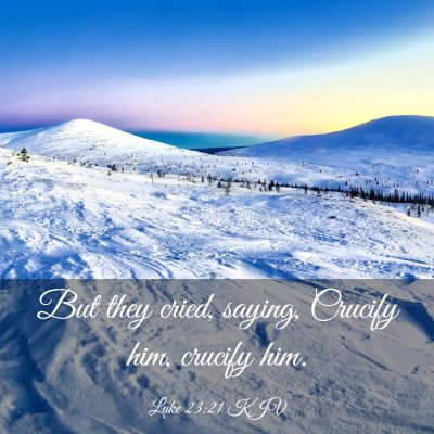 Picture 03 - Luke 23:21 KJV - But they cried, saying, Crucify him, crucify - Bible Verse Picture