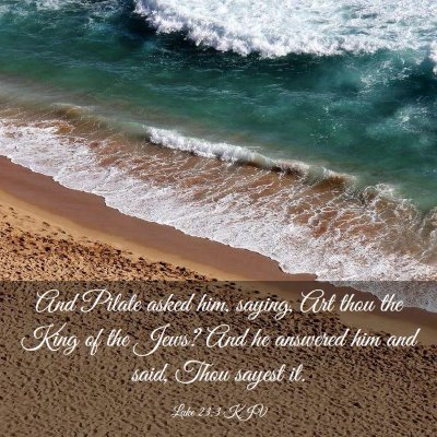 Picture 03 - Luke 23:3 KJV - And Pilate asked him, saying, Art thou the King - Bible Verse Picture