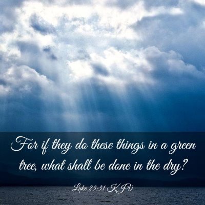 Picture 03 - Luke 23:31 KJV - For if they do these things in a green tree, what - Bible Verse Picture