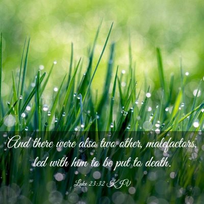 Picture 03 - Luke 23:32 KJV - And there were also two other, malefactors, led - Bible Verse Picture