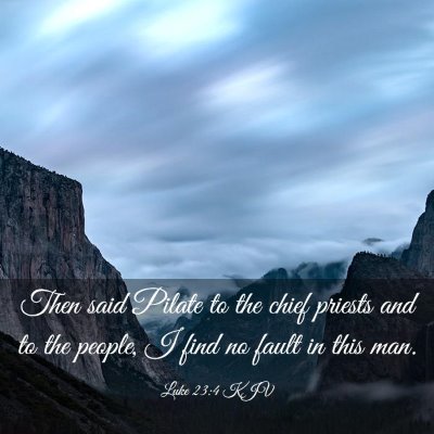 Picture 03 - Luke 23:4 KJV - Then said Pilate to the chief priests and to the - Bible Verse Picture