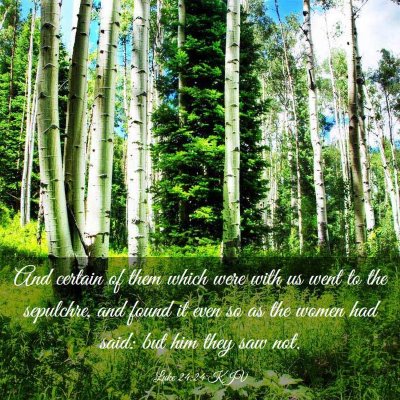 Picture 03 - Luke 24:24 KJV - And certain of them which were with us went to - Bible Verse Picture