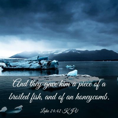 Picture 03 - Luke 24:42 KJV - And they gave him a piece of a broiled fish, and - Bible Verse Picture