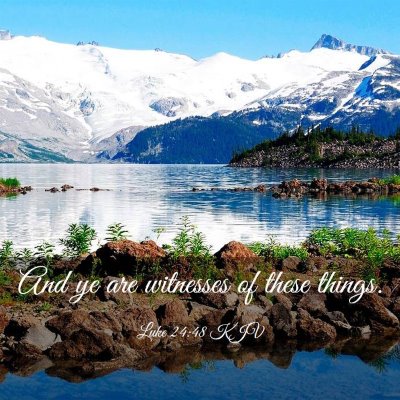 Picture 03 - Luke 24:48 KJV - And ye are witnesses of these - Bible Verse Picture