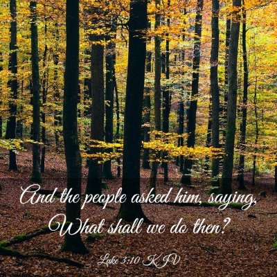 Picture 03 - Luke 3:10 KJV - And the people asked him, saying, What shall we - Bible Verse Picture