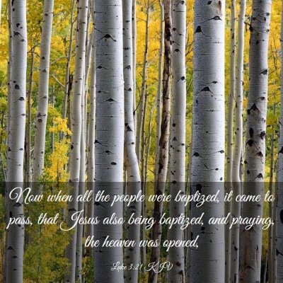 Picture 03 - Luke 3:21 KJV - Now when all the people were baptized, it came to - Bible Verse Picture