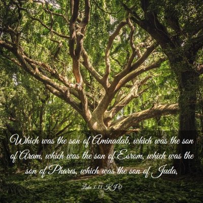 Picture 03 - Luke 3:33 KJV - Which was the son of Aminadab, which was the son - Bible Verse Picture
