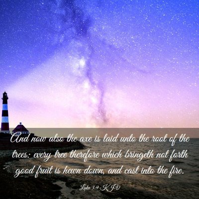 Picture 03 - Luke 3:9 KJV - And now also the axe is laid unto the root of the - Bible Verse Picture