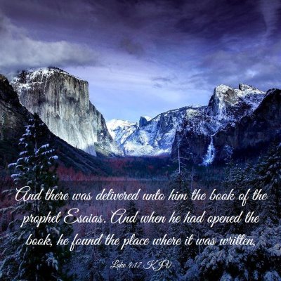 Picture 03 - Luke 4:17 KJV - And there was delivered unto him the book of the - Bible Verse Picture