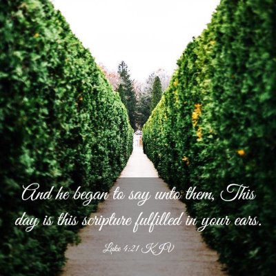 Picture 03 - Luke 4:21 KJV - And he began to say unto them, This day is this - Bible Verse Picture