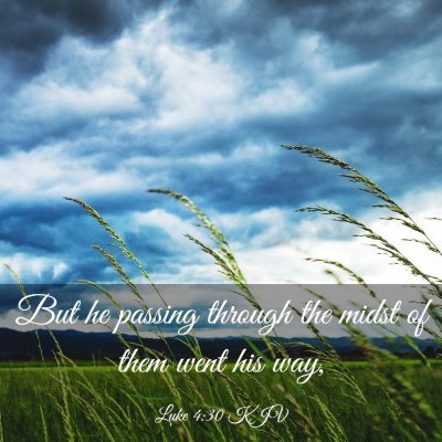 Picture 03 - Luke 4:30 KJV - But he passing through the midst of them went his - Bible Verse Picture