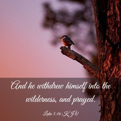Picture 03 - Luke 5:16 KJV - And he withdrew himself into the wilderness, and - Bible Verse Picture