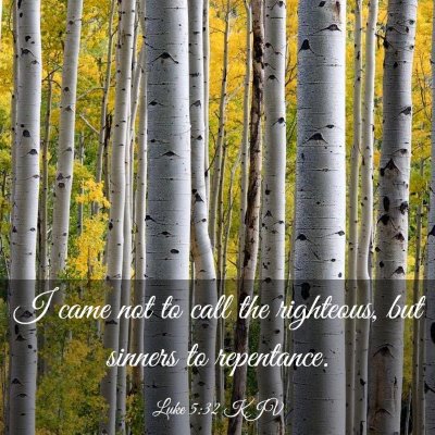 Picture 03 - Luke 5:32 KJV - I came not to call the righteous, but sinners to - Bible Verse Picture