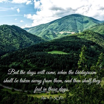 Picture 03 - Luke 5:35 KJV - But the days will come, when the bridegroom shall - Bible Verse Picture