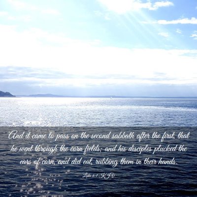 Picture 03 - Luke 6:1 KJV - And it came to pass on the second sabbath after - Bible Verse Picture