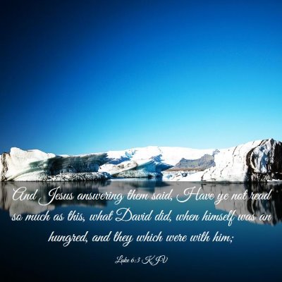 Picture 03 - Luke 6:3 KJV - And Jesus answering them said, Have ye not read - Bible Verse Picture