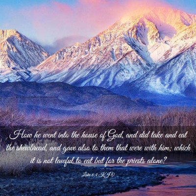 Picture 03 - Luke 6:4 KJV - How he went into the house of God, and did take - Bible Verse Picture