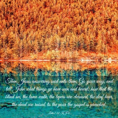 Picture 03 - Luke 7:22 KJV - Then Jesus answering said unto them, Go your way, - Bible Verse Picture