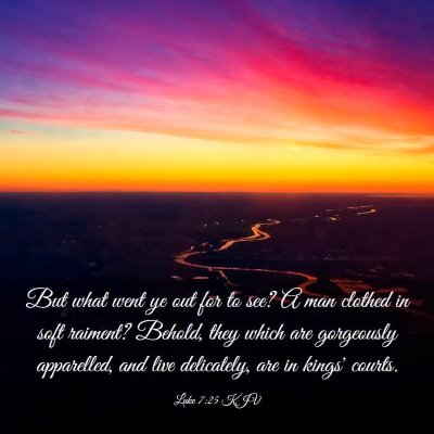 Picture 03 - Luke 7:25 KJV - But what went ye out for to see? A man clothed in - Bible Verse Picture